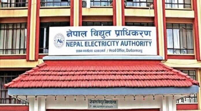 विद्युत् प्राधिकरणले पायो ‘डबल ए प्लस’ क्रेडिट रेटिङ