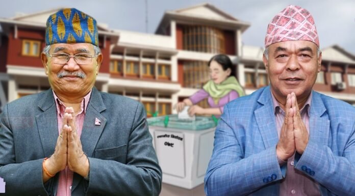 ललितपुरमा कांग्रेसका मेयर चिरिबाबुको अग्रता ,उपप्रमुखमा भने एमालेका उम्मेदवार अग्र स्थानमा