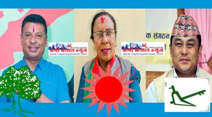 चाँगुनारायणको मेयर पदमा कांग्रेसको अग्रता, कुन वडामा कति मत हेर्नुहोस्