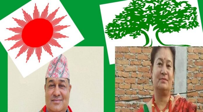 लोकप्रीय मत ल्याएर उप मेयरमा बिजयी भए एमालेका बुढाथोकी