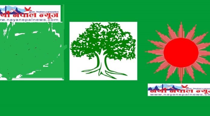 विराटनगर महानगरपालिकामा प्रमुखमा नेपाली कांग्रेस र उपप्रमुखमा नेकपा एमाले विजयी