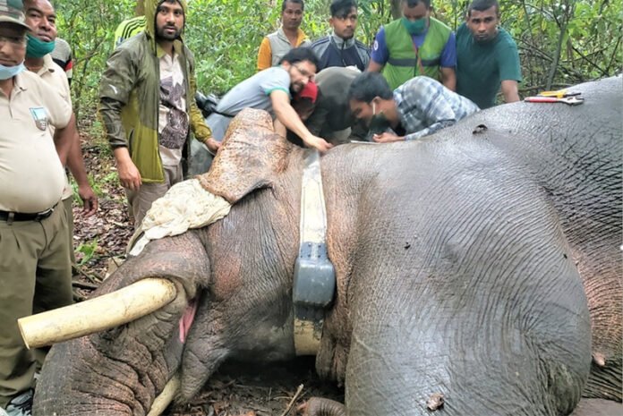 dhrube_pic__A49UA3oUn3