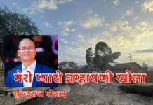 कविताः मेरो ब्रम्हायणी खोला