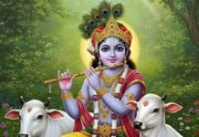 आज बुधबारः भगवान कृष्णको पूजा गर्नुहोस्, मिल्नेछ लाभ