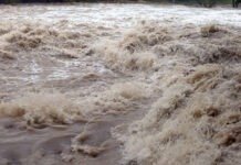 मोहना नदीले सतर्कता तह पार गर्यो, सतर्क रहन आग्रह